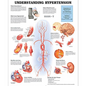 Understanding Hypertension Chart